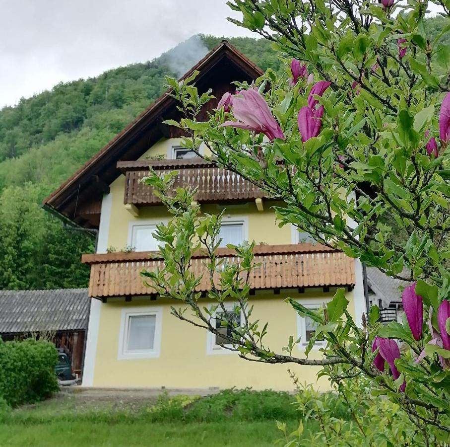 Apartment House Andrej Bohinj Εξωτερικό φωτογραφία