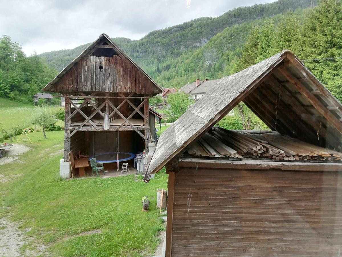 Apartment House Andrej Bohinj Εξωτερικό φωτογραφία