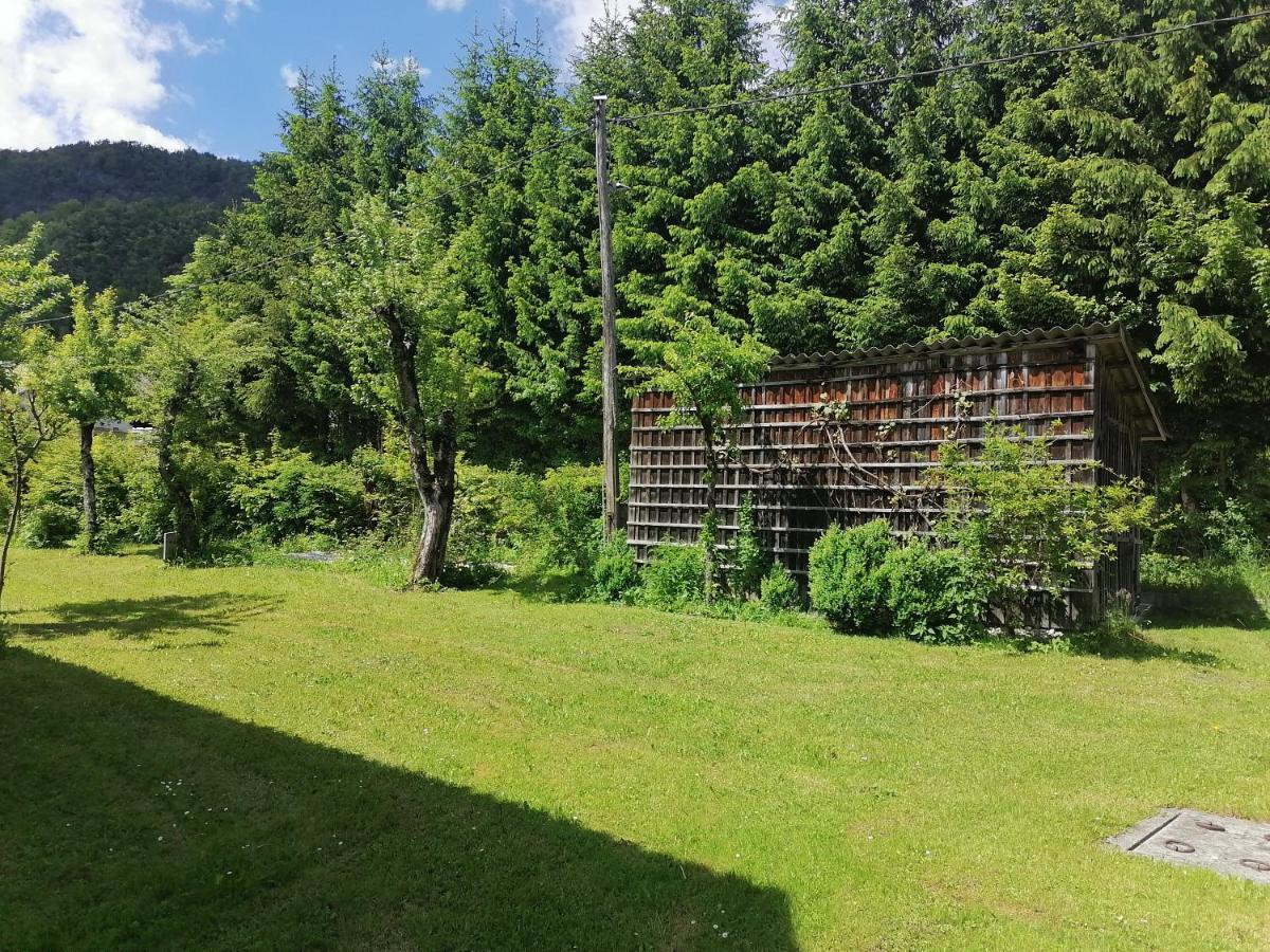 Apartment House Andrej Bohinj Εξωτερικό φωτογραφία