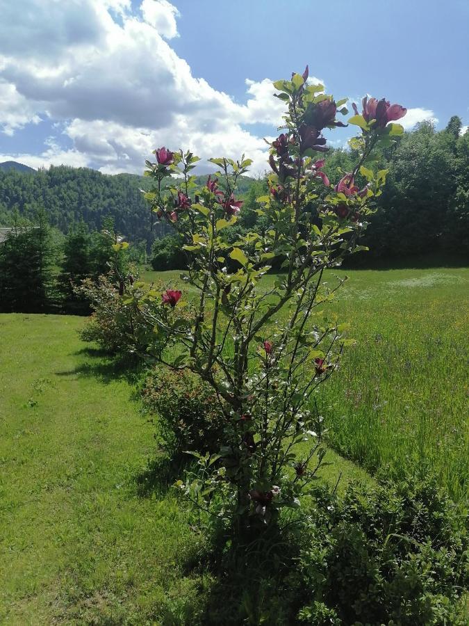 Apartment House Andrej Bohinj Εξωτερικό φωτογραφία