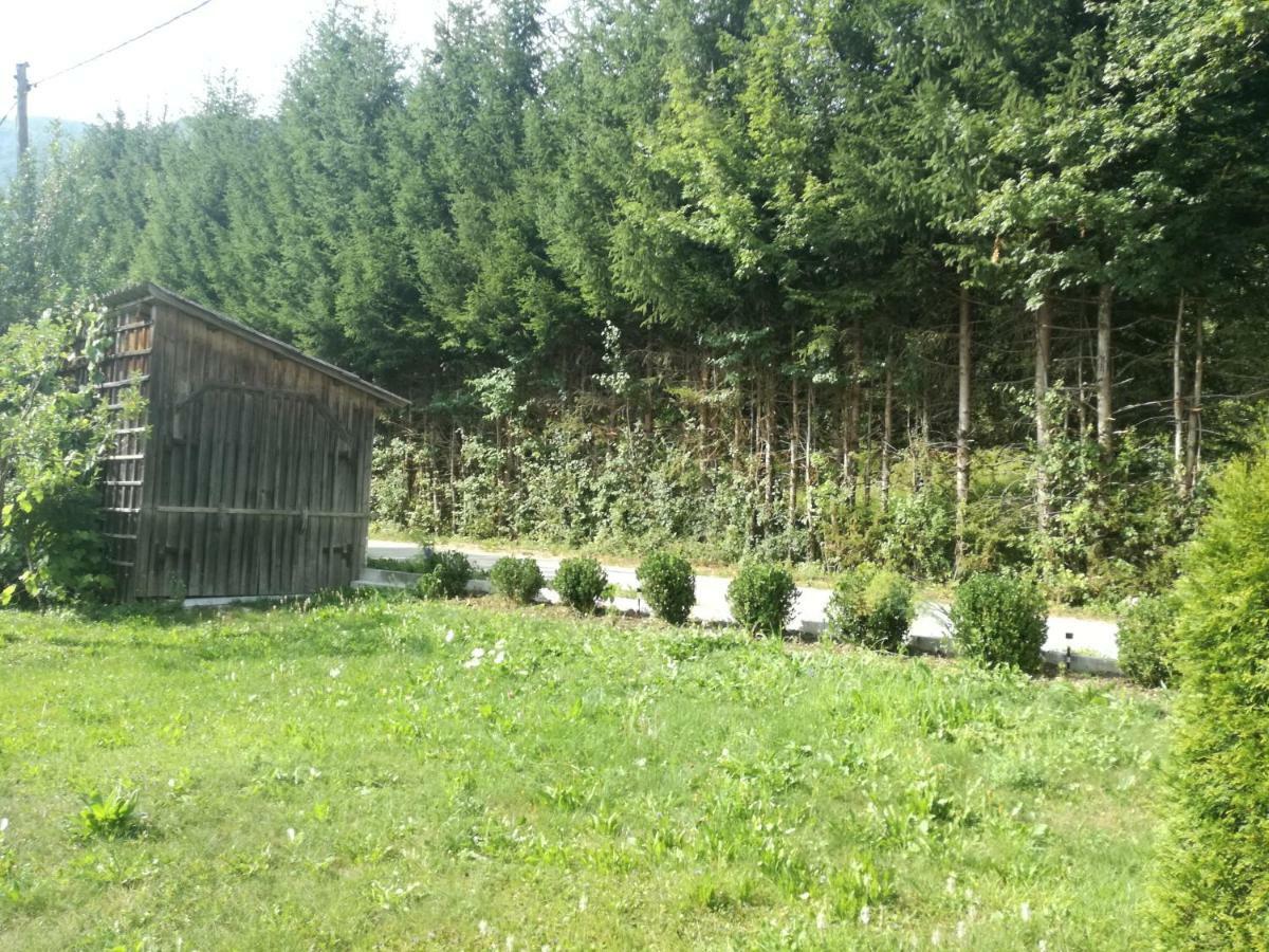 Apartment House Andrej Bohinj Εξωτερικό φωτογραφία