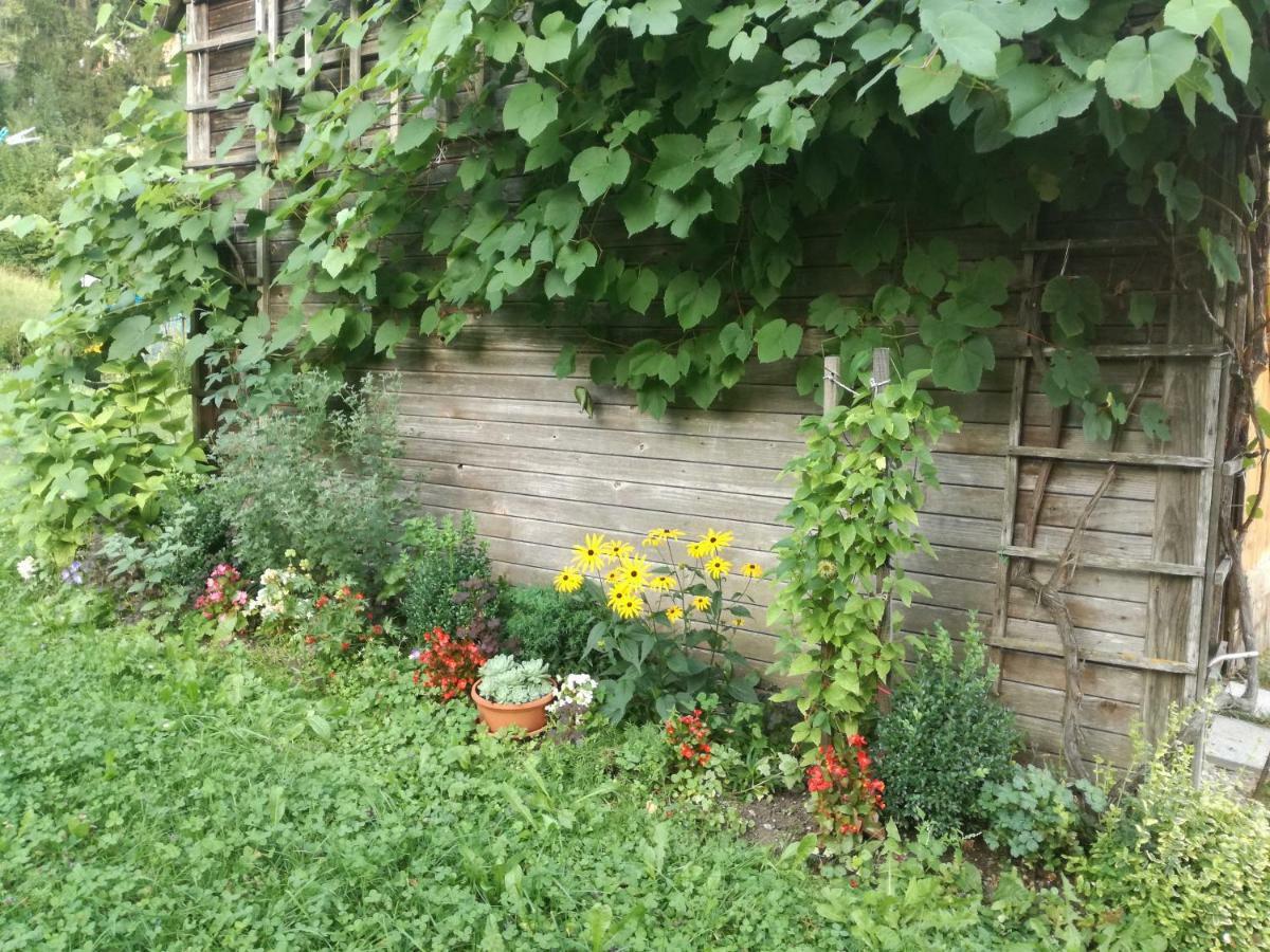Apartment House Andrej Bohinj Εξωτερικό φωτογραφία