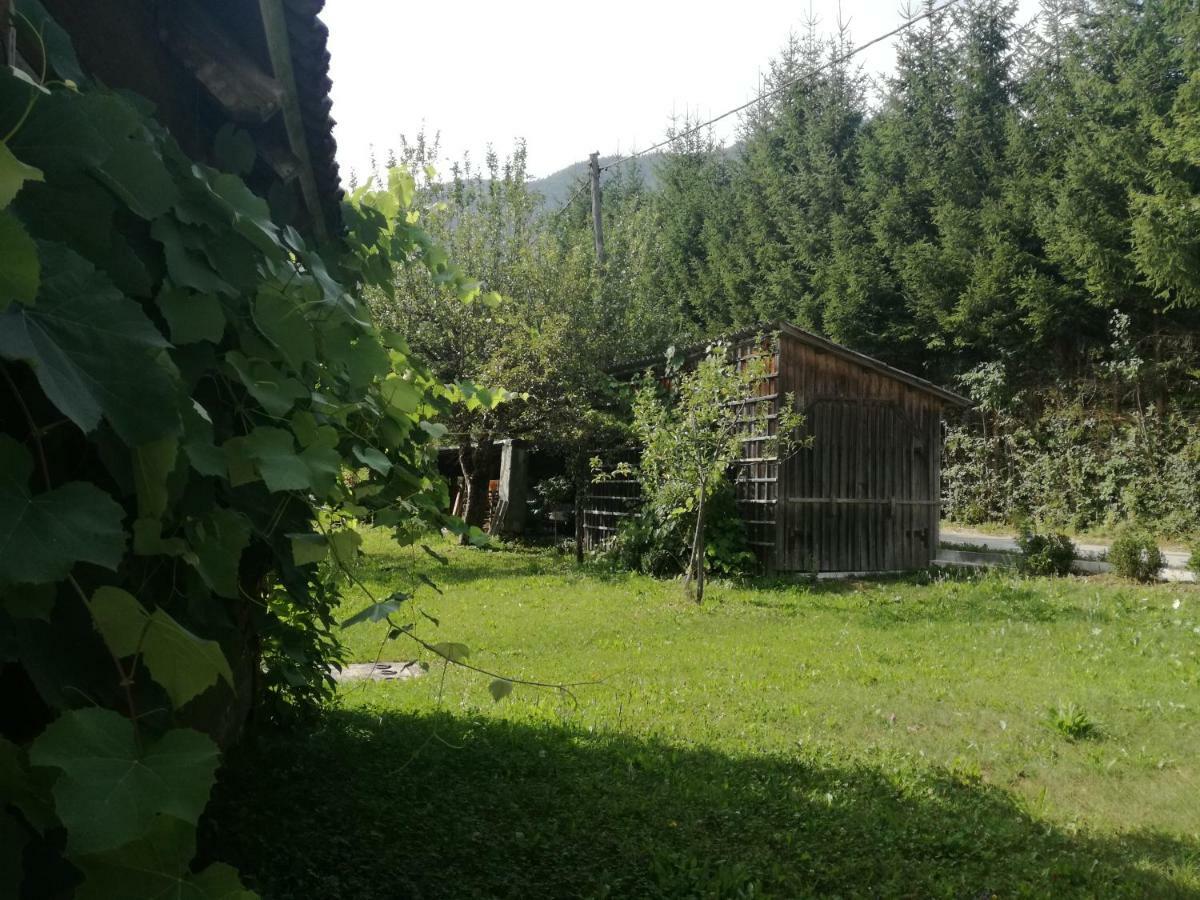 Apartment House Andrej Bohinj Εξωτερικό φωτογραφία