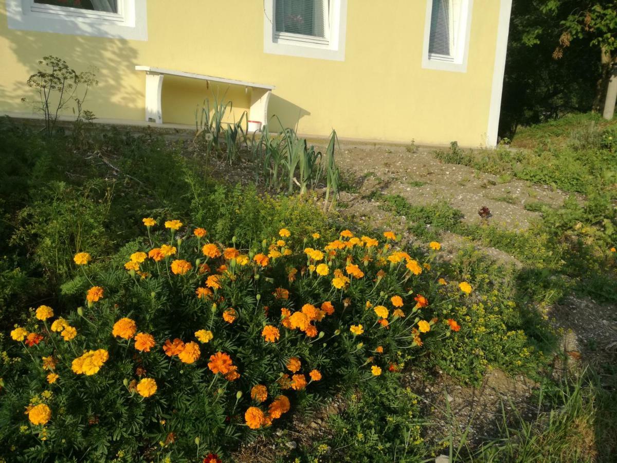 Apartment House Andrej Bohinj Εξωτερικό φωτογραφία